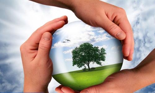 خیز سازمان حفاظت محیط زیست برای ایجاد مجمع خیرین در استانها