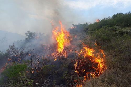 آتش سوزی کمتر از ۱۸ هکتار از مناطق تحت مدیریت لرستان