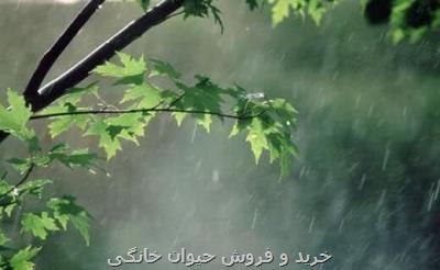 رگبار و رعد و برق در ۱۹ استان