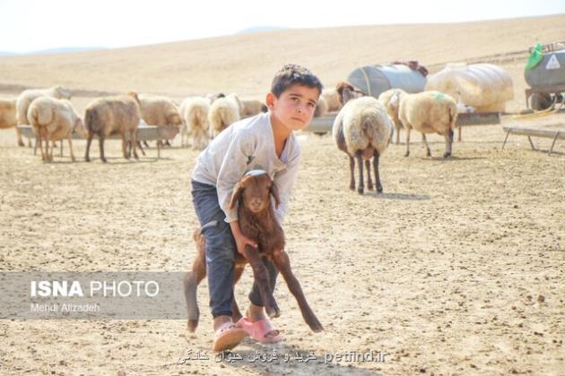 تسریع خدمات رسانی به عشایر در مناطق قشلاقی