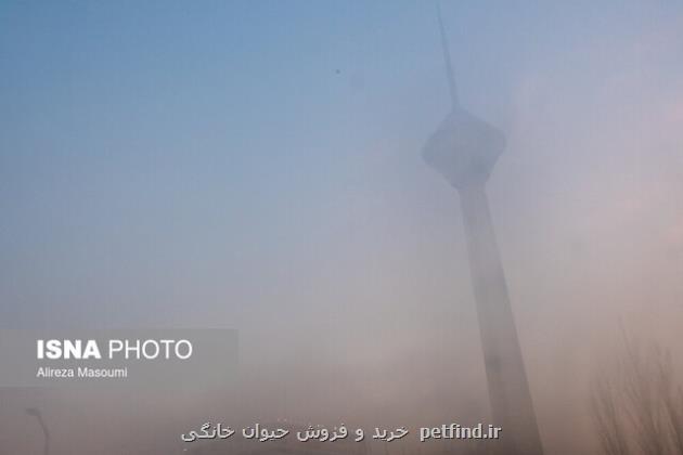 هشدار نسبت به افزایش آلودگی هوای تهران و ۴ کلانشهر دیگر