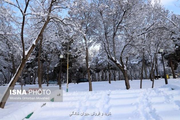 تجربه دمای زیر صفر در بیشتر نقاط استان تهران